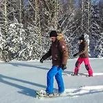 Kalliokoivu By Interhome Holiday home Torvoila