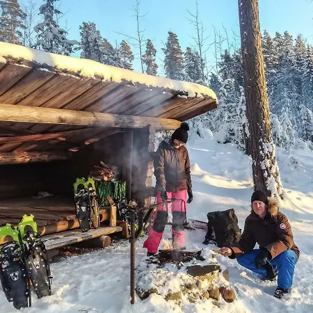 Kalliokoivu By Interhome Torvoila