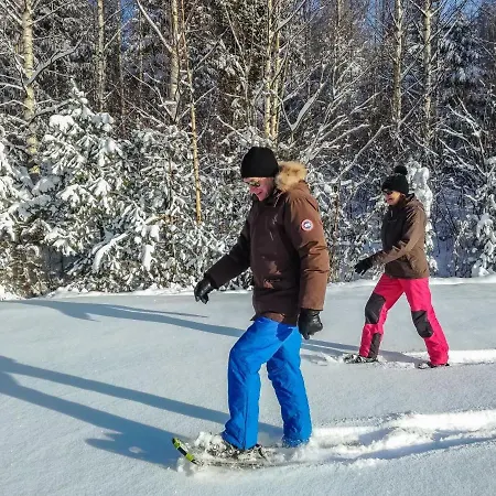 Ferienhaus Kalliokoivu By Interhome Torvoila