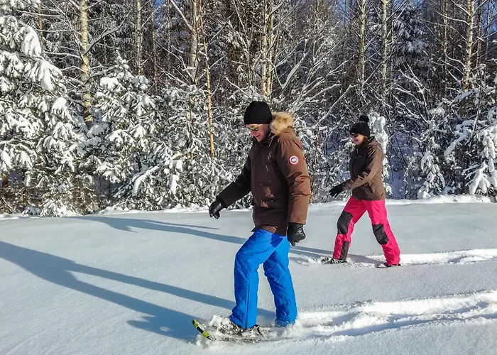 Kalliokoivu By Interhome Hébergement de vacances Torvoila